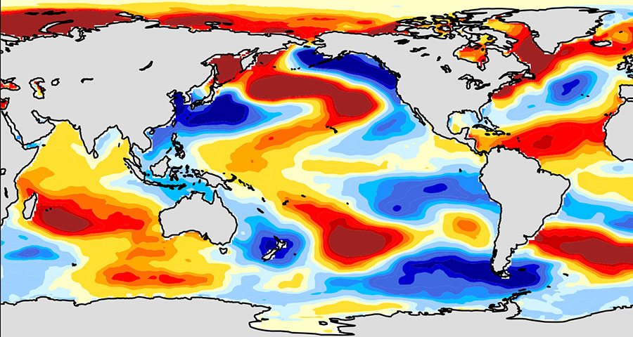 An Ocean View of the Global Surface Warming Hiatus