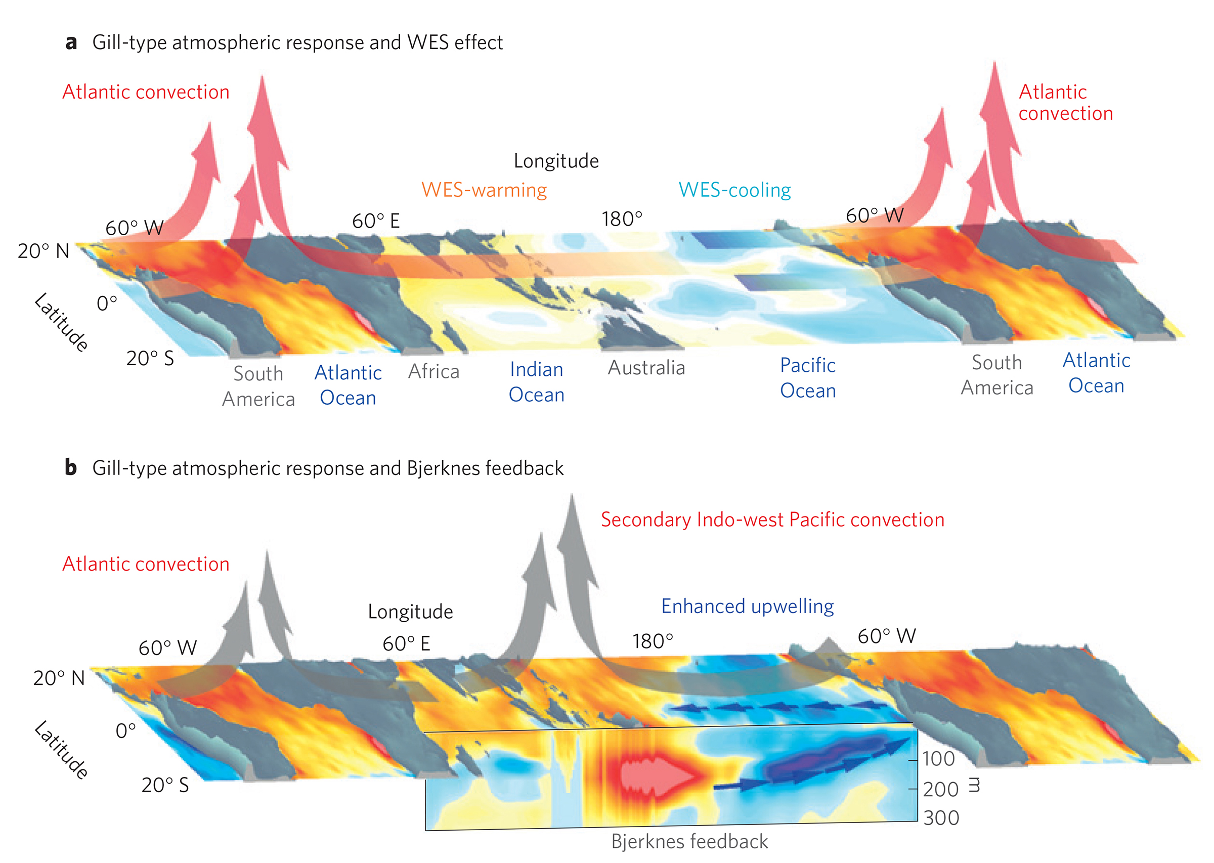 An Ocean View Of The Global Surface Warming Hiatus Oceanography