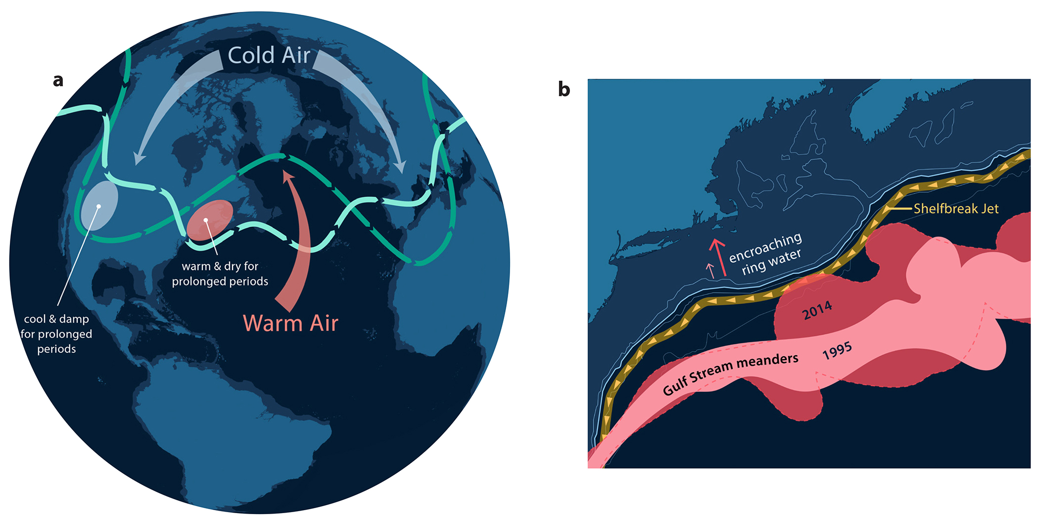 continental shelf