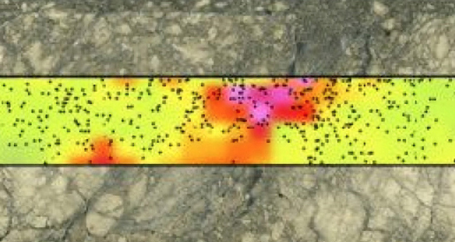 Processes Governing Giant Subduction Earthquakes
