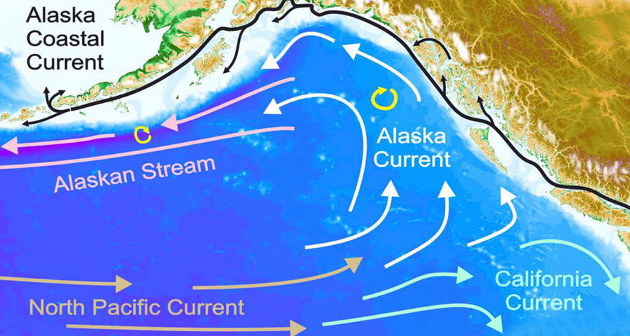 An Oceanographic Perspective on Early Human Migrations to the Americas