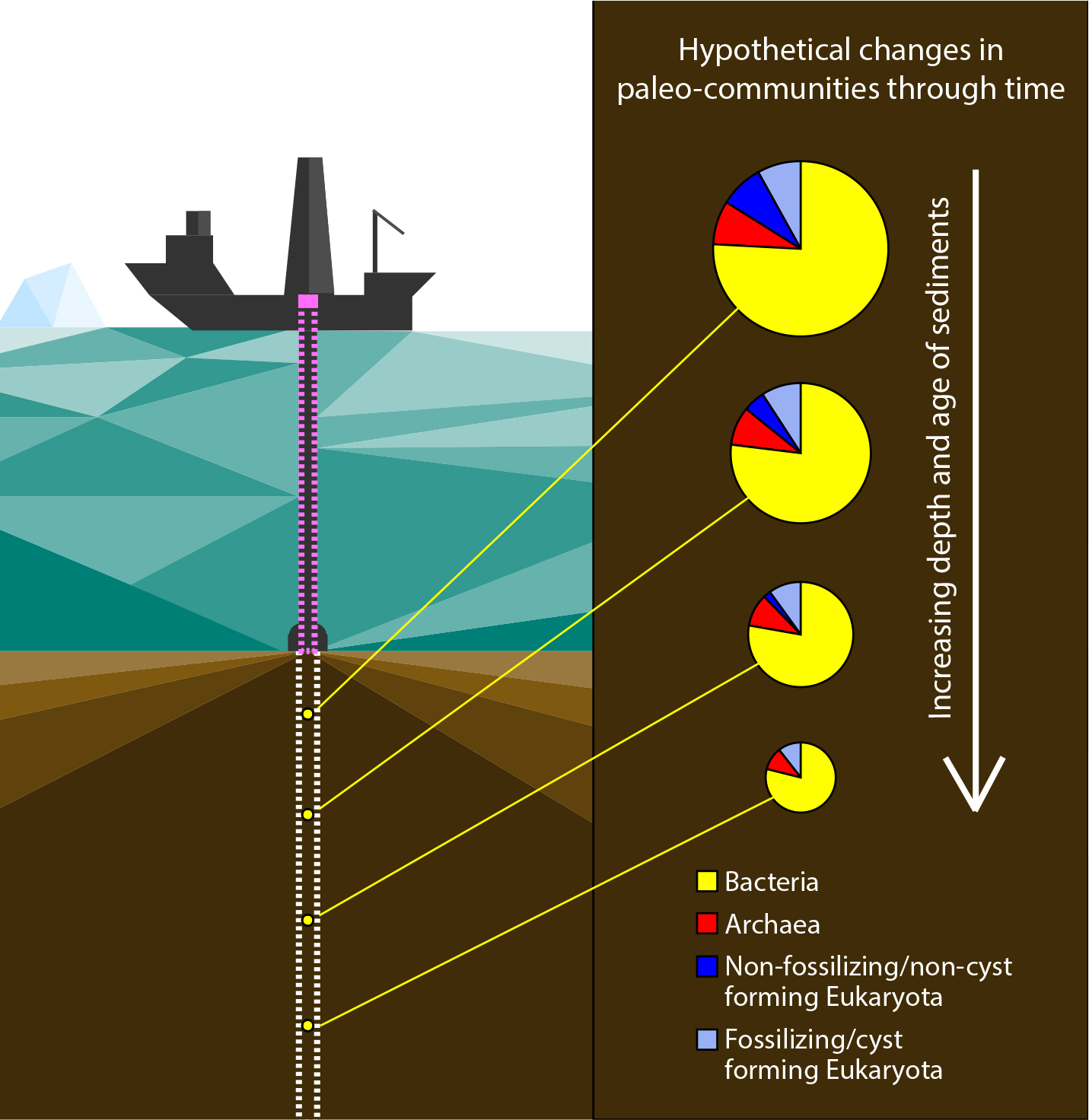 The Potential Of Sedimentary Ancient DNA To Reconstruct Past Ocean The Potential Of Sedimentary Ancient DNA To Reconstruct Past Ocean