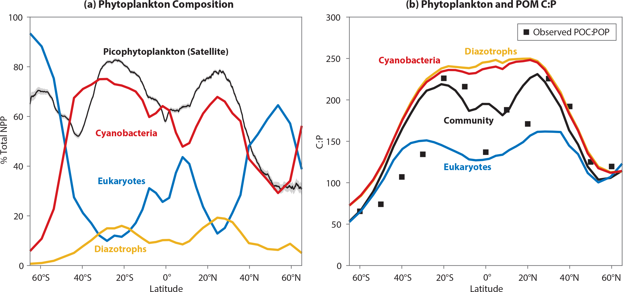 Linkages Between Dynamic Phytoplankton C N P And The Ocean Carbon Cycle Under Climate Change Oceanography