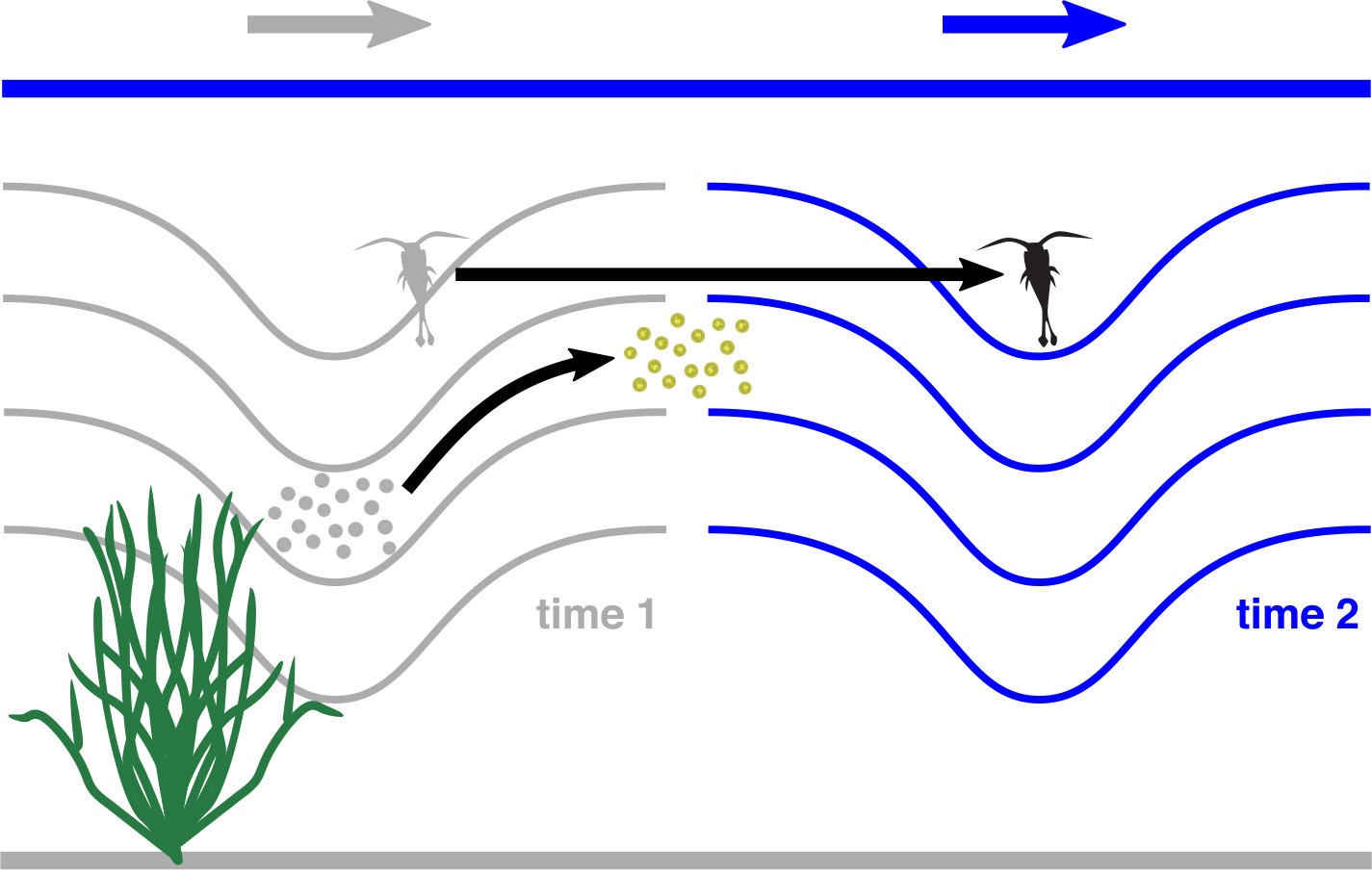 Life in Internal Waves | Oceanography