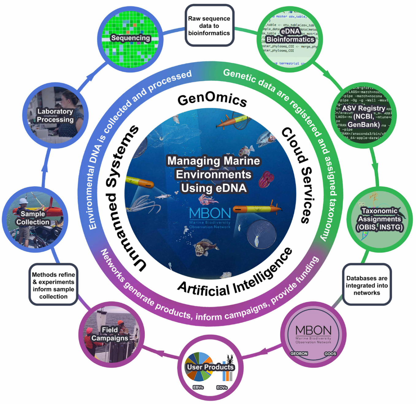 Observing Life In The Sea Using Environmental Dna Oceanography 2041