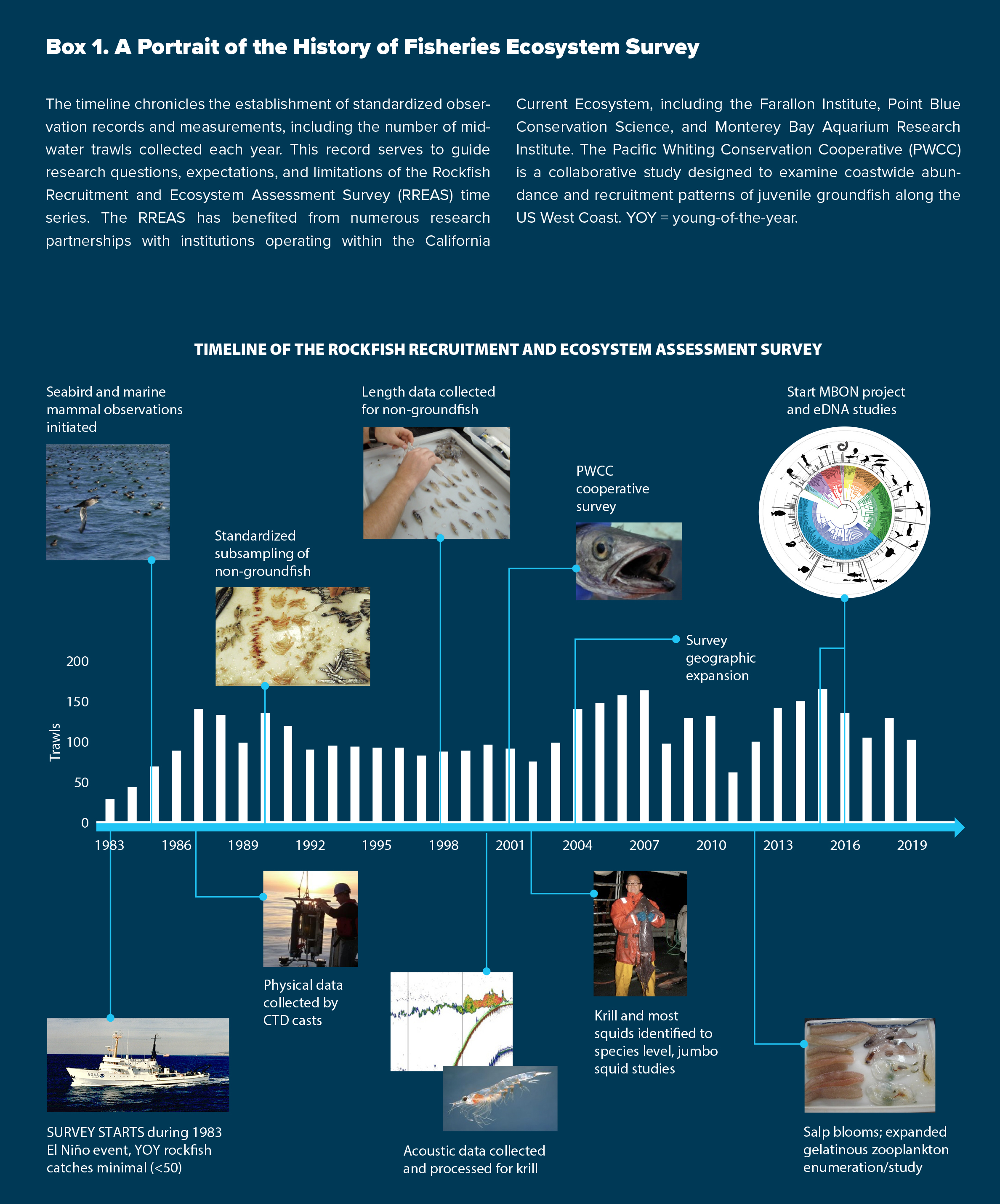 Pelagic Fish Research - Roctopus - ecoTrust
