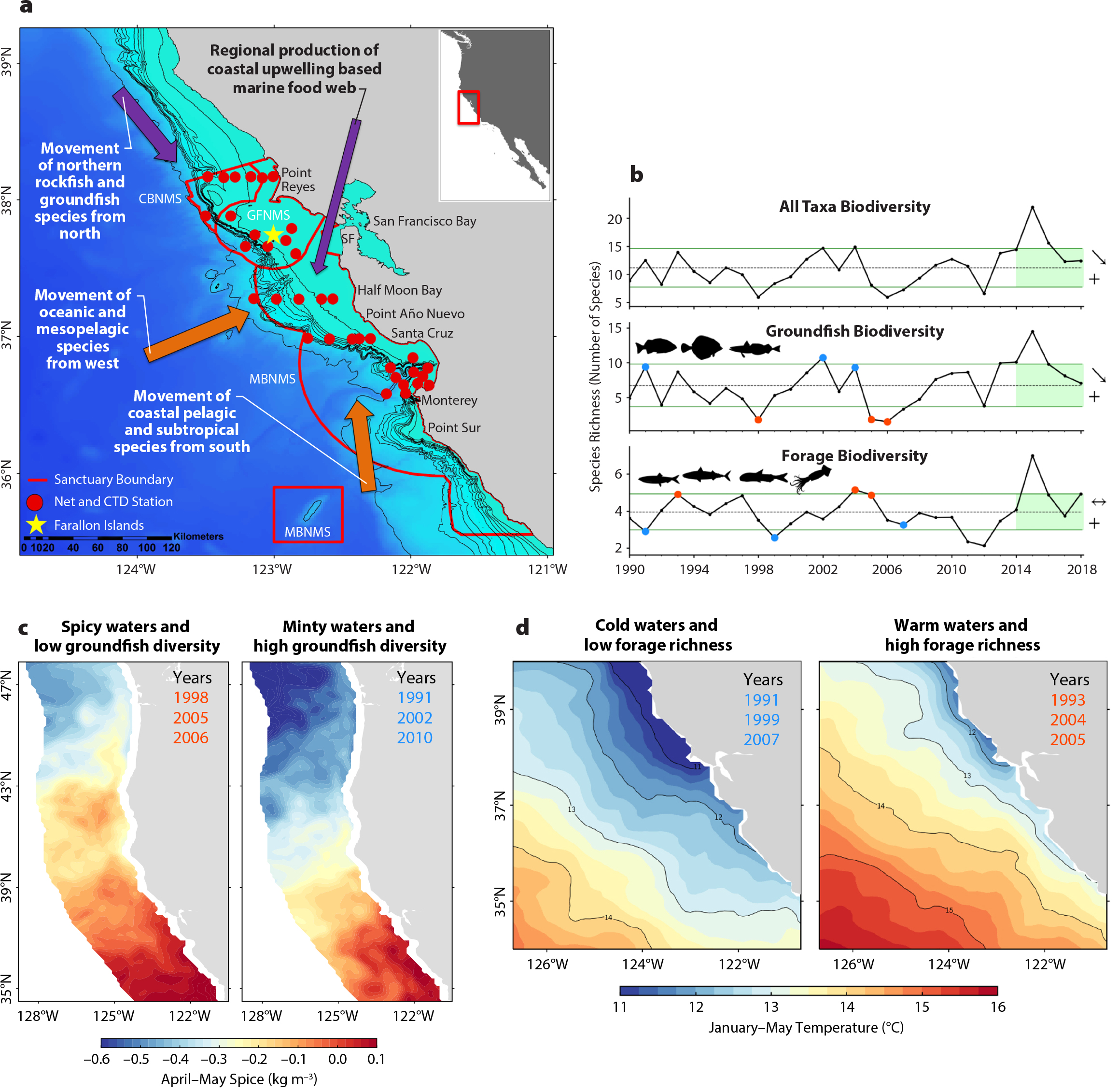 Pelagic Biodiversity, Ecosystem Function, and Services: An Integrated  Observing and Modeling Approach