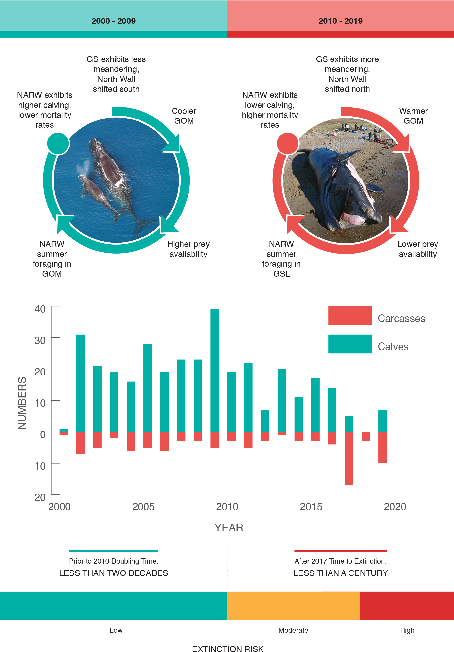 Ocean Regime Shift is Driving Collapse of the North Atlantic Right