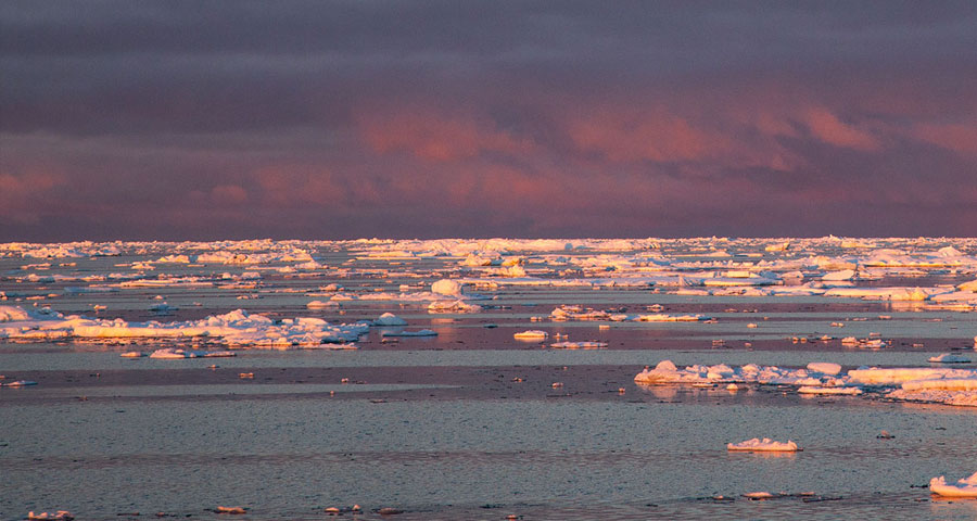 Changing Biogeochemistry of the Arctic Ocean