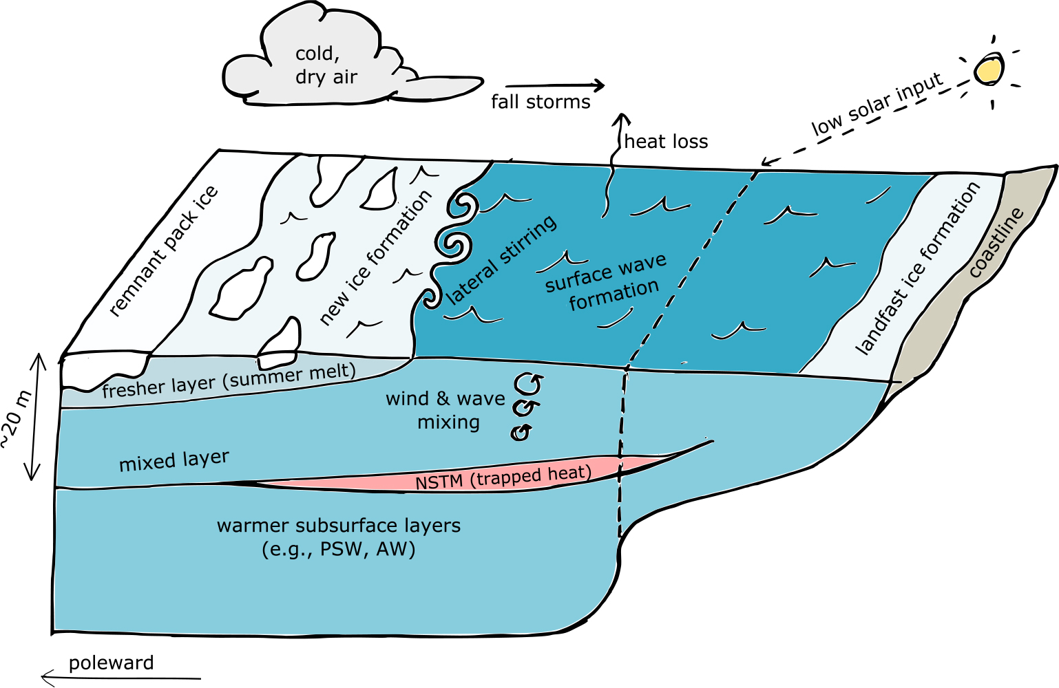 Microstructure Observations of Turbulent Heat Fluxes in a Warm-Core Canada  Basin Eddy in: Journal of Physical Oceanography Volume 48 Issue 10 (2018)