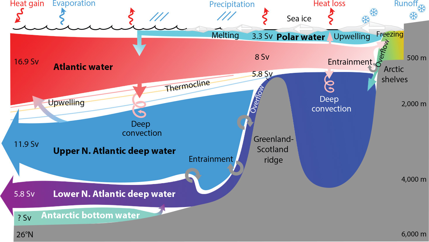 OS - Observation-based estimates of volume, heat, and freshwater exchanges  between the subpolar North Atlantic interior, its boundary currents, and  the atmosphere