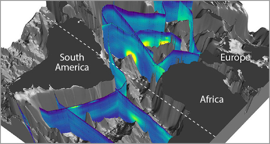 Advances in Understanding the Marine Nitrogen Cycle