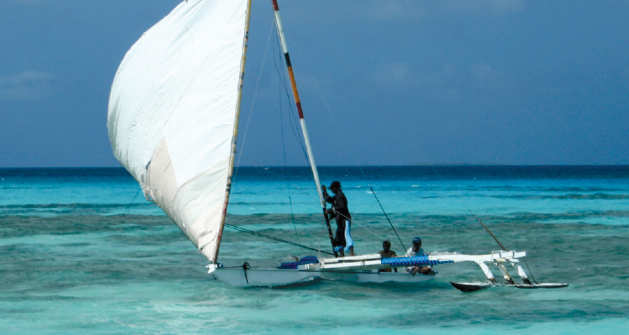 Indigenous Navigation