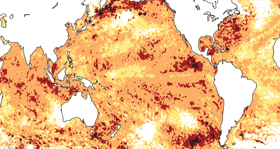 Categorizing Marine Heatwaves