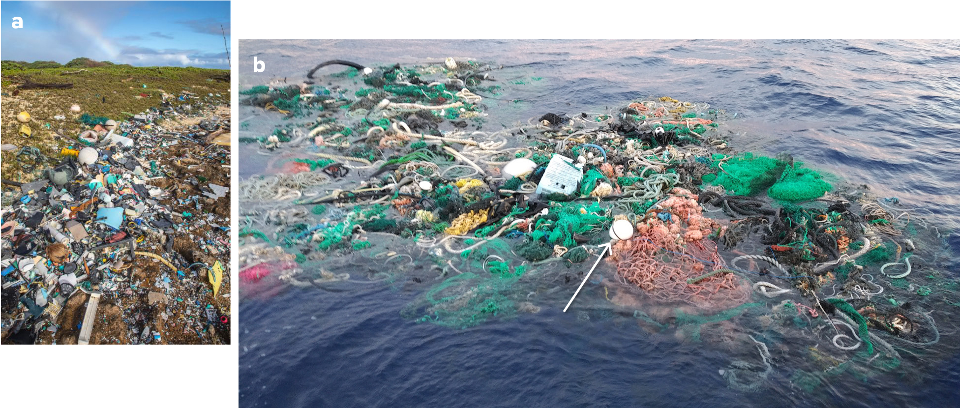 an-integrated-observing-system-for-monitoring-marine-debris-and