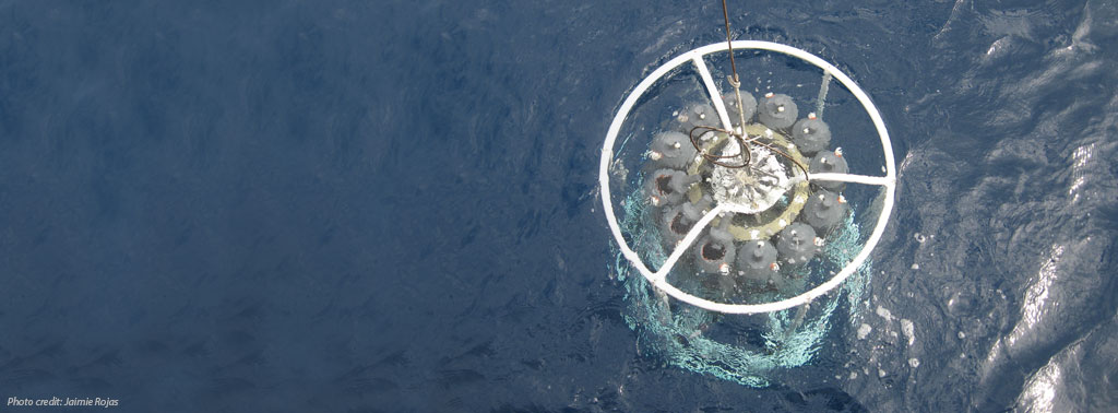 Oceanography articles are posted online immediately upon publication with full access to all content